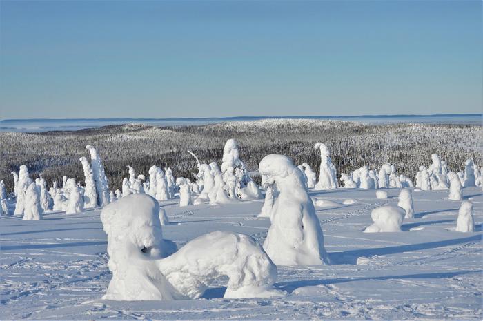 Lunta Riisitunturilla helmikuussa 2020.